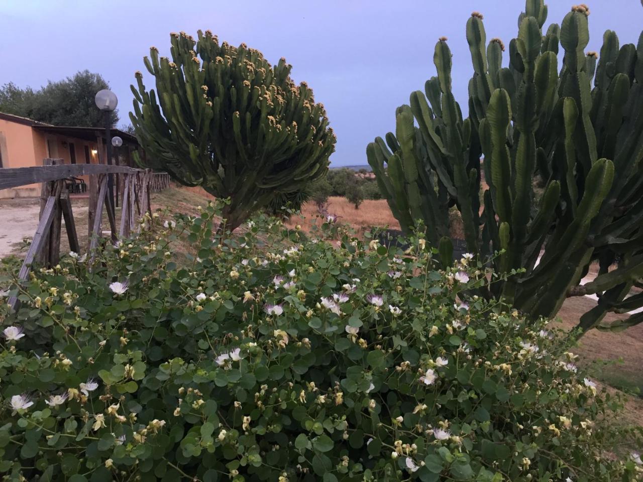 Agriturismo Saccollino San Paolo  Екстериор снимка