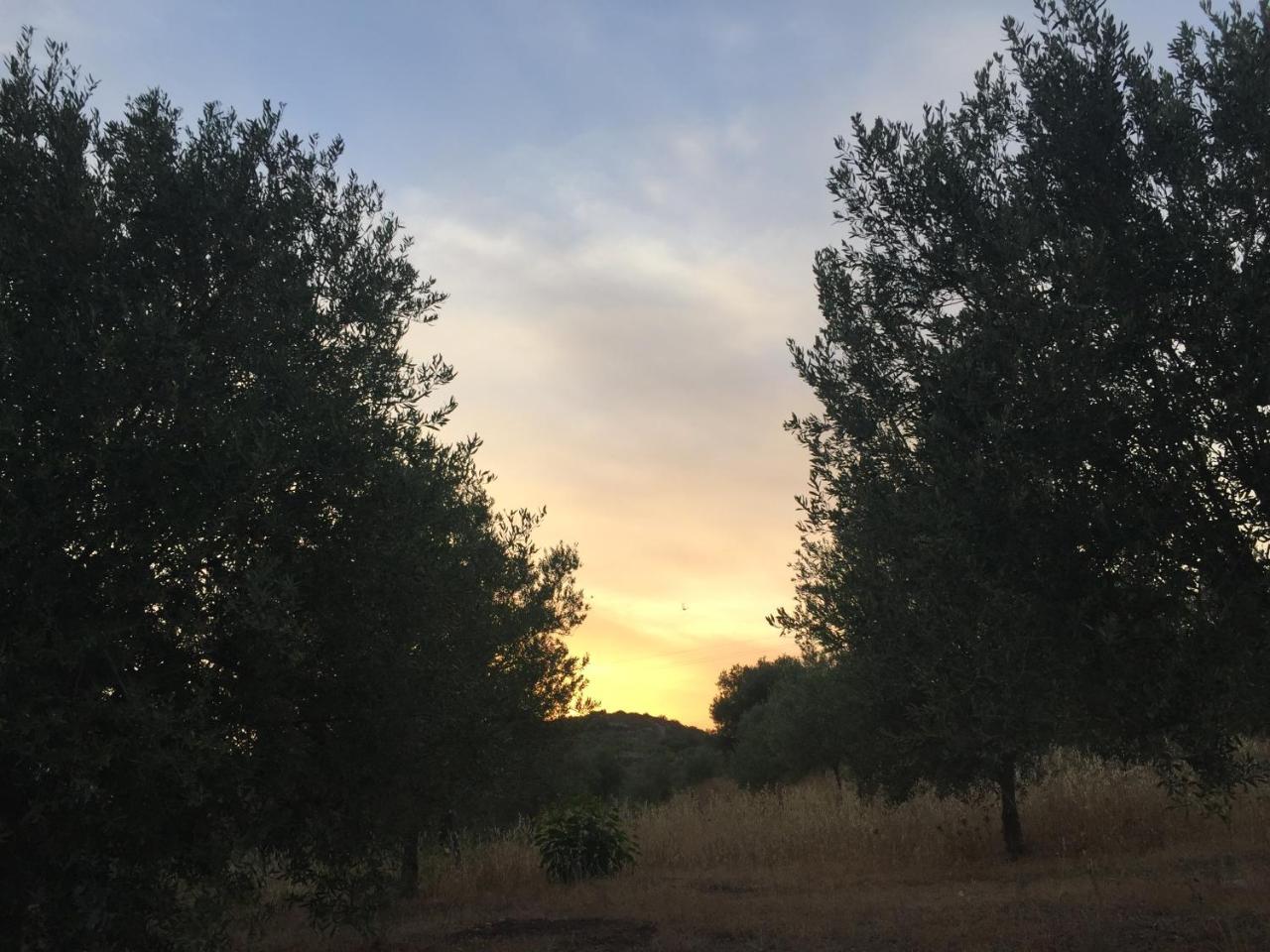 Agriturismo Saccollino San Paolo  Екстериор снимка
