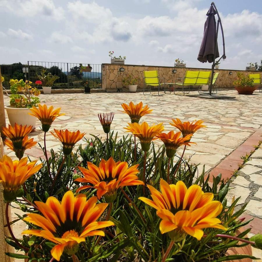 Agriturismo Saccollino San Paolo  Екстериор снимка