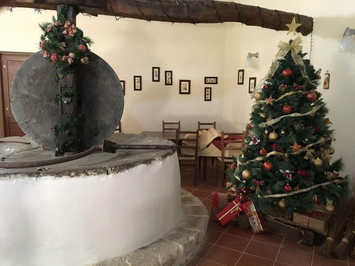 Agriturismo Saccollino San Paolo  Екстериор снимка