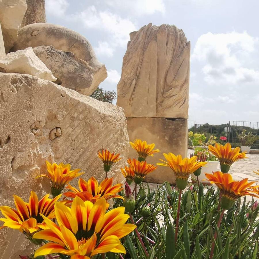 Agriturismo Saccollino San Paolo  Екстериор снимка